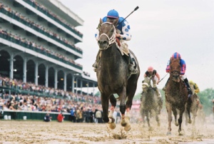 2004 Kentucky Derby. From photog1966 (Flickr).